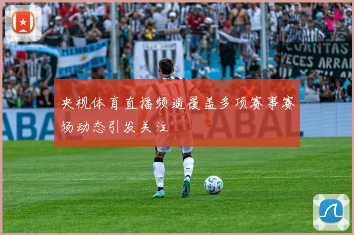 央视体育直播频道覆盖多项赛事赛场动态引发关注