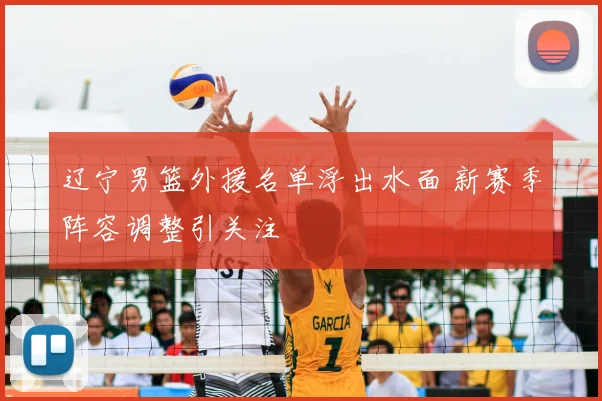 辽宁男篮外援名单浮出水面 新赛季阵容调整引关注