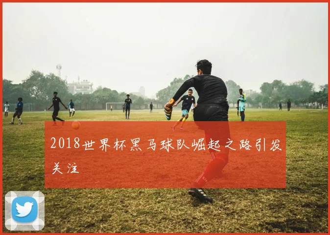 2018世界杯黑马球队崛起之路引发关注