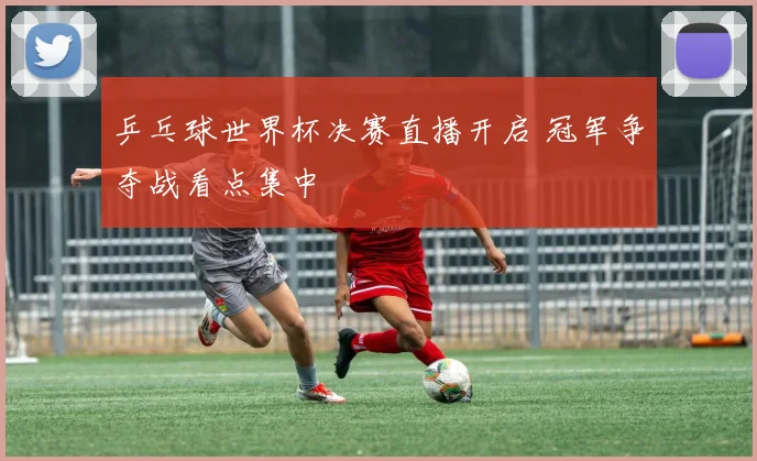 乒乓球世界杯决赛直播开启 冠军争夺战看点集中