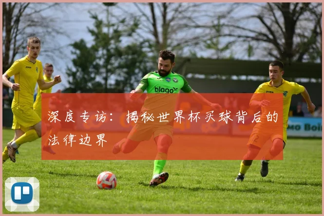 深度专访：揭秘世界杯买球背后的法律边界