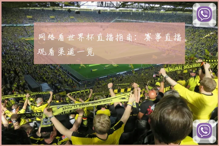 网络看世界杯直播指南：赛事直播观看渠道一览