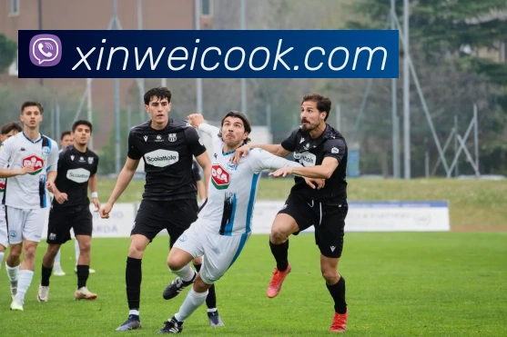 辅助工具 辅助工具